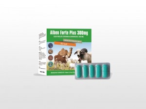 2018 wholesale price Albendazole Bolus For Cattle - Albendazole Bolus 300mg – Lihua