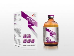 2018 High quality Ivermectin Injection For Pigs - Atropine Injection 1% – Lihua