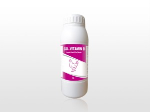 OEM manufacturer Multivitamin Oral Liquid - Complex Vitamin B Oral Solution – Lihua