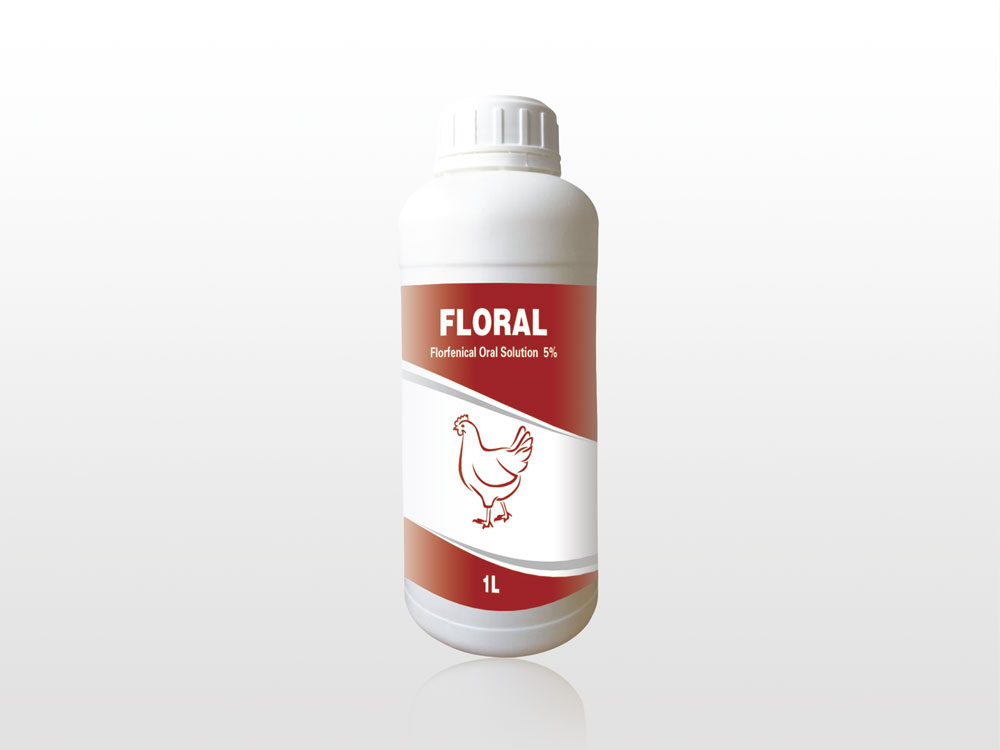 Cheap price Albendazole Oral Suspension For Goats - Florfenicol Oral Solution 5% – Lihua