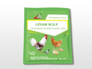 Chinese Professional Multivitamin Oral Powder - Levamisole Soluble Powder 10% – Lihua