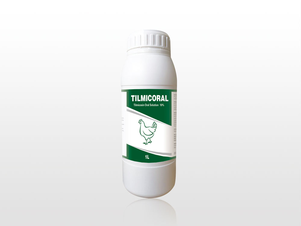 Fast delivery Albendazole Oral Suspension Bandy - Tilmicosin Oral Solution 10% – Lihua